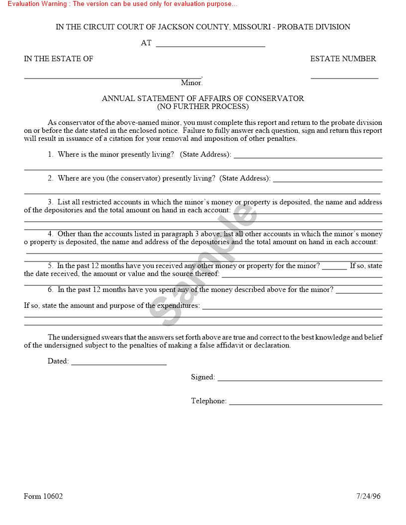 Annual Statement Of Affairs Of Conservator {10602} | Pdf Fpdf Doc Docx | Missouri